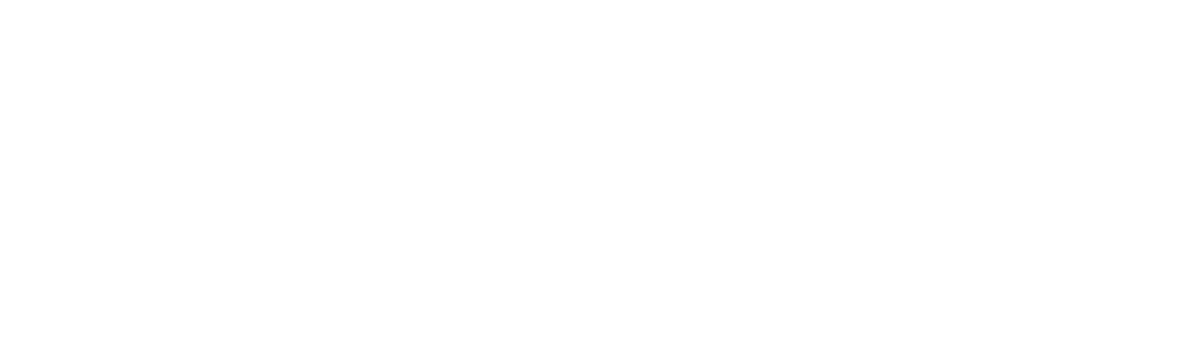 Biomedica Diagnostics